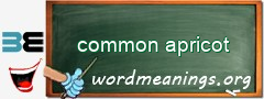 WordMeaning blackboard for common apricot